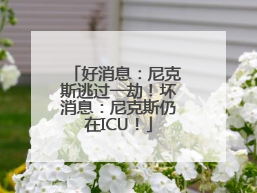 好消息：尼克斯逃过一劫！坏消息：尼克斯仍在ICU！